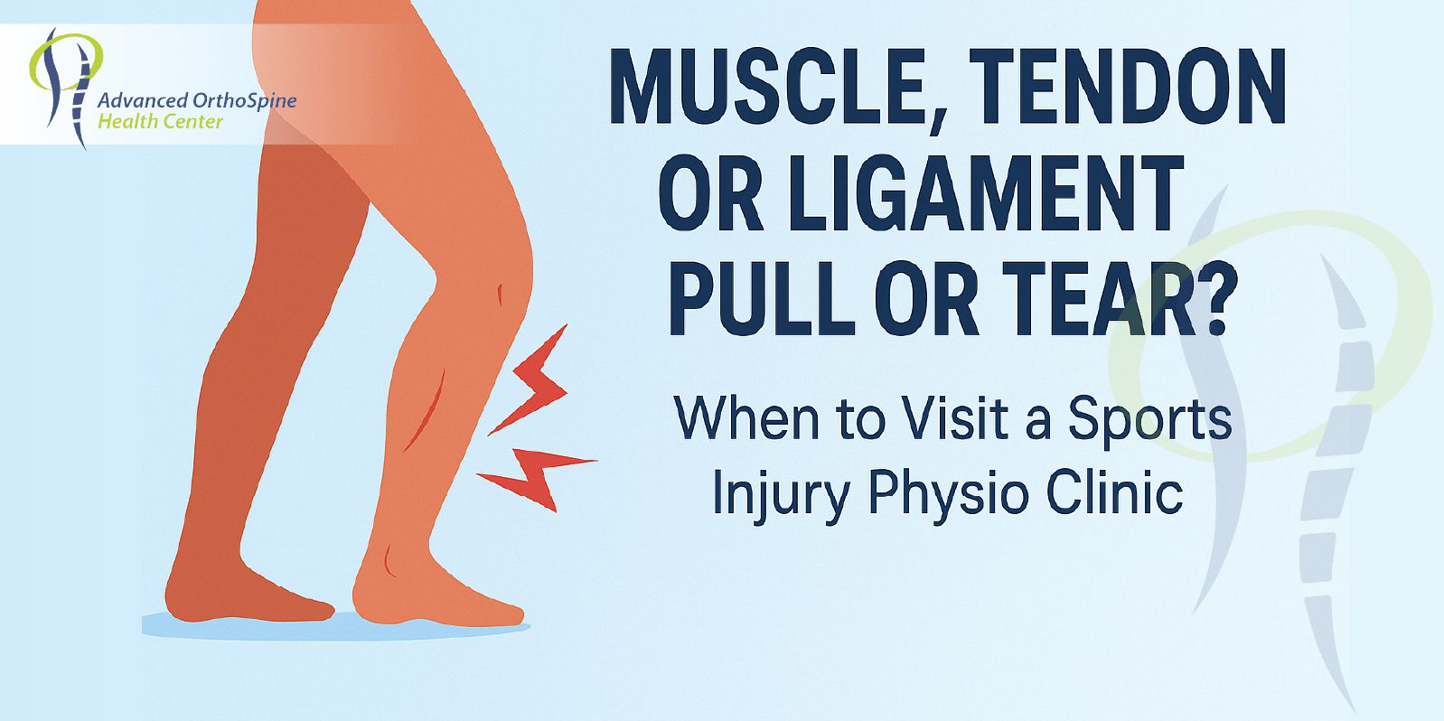 Muscle tendon or ligament